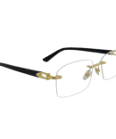 Cartier CT02870-C1