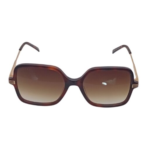 Gucci GG 1449S Tortoise