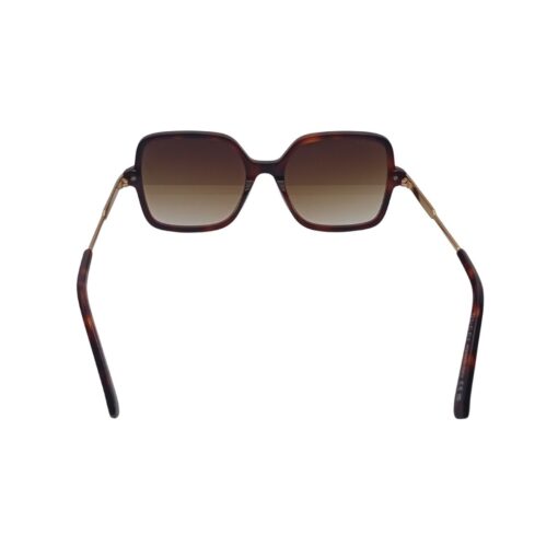 Gucci GG 1449S Tortoise
