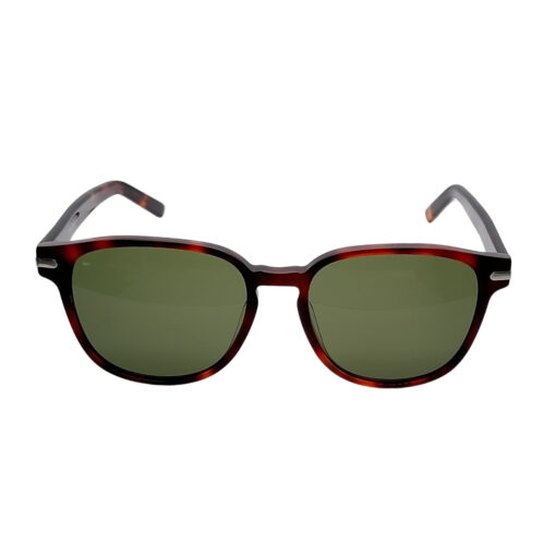 Salvatore Ferragamo SF993S Tortoise
