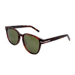 Salvatore Ferragamo SF993S Tortoise