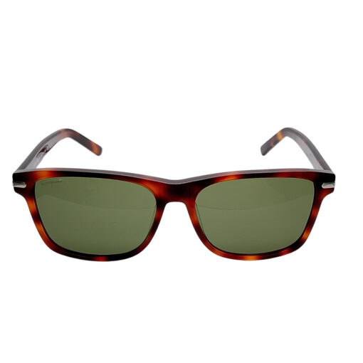 Salvatore Ferragamo SF992S Tortoise