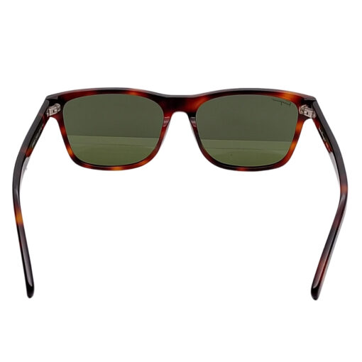 Salvatore Ferragamo SF992S Tortoise