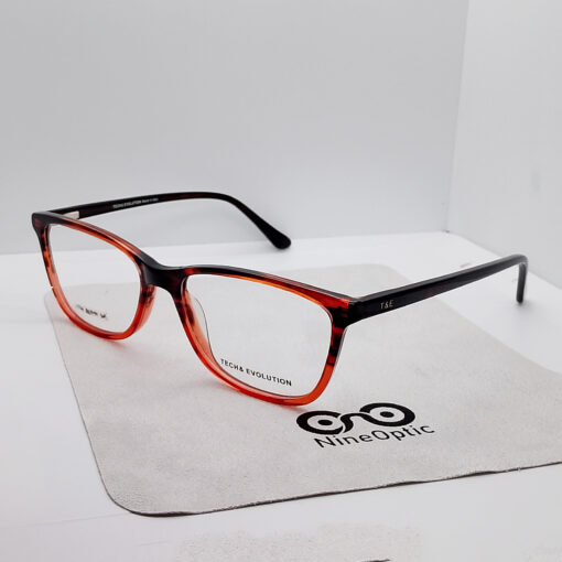 Tech and Evolution 9676 C2-1