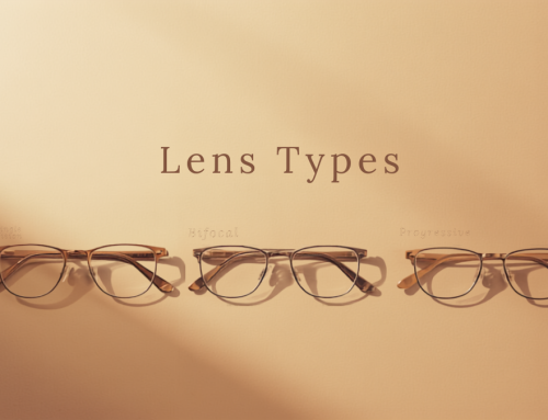 Single Vision vs Progressive vs Bifocal Lenses (কোনটি আপনার জন্য?)